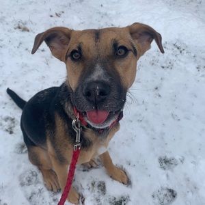 Meet your Posher, Justice